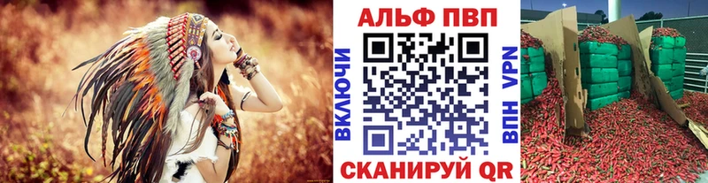 Alfa_PVP СК КРИС Владикавказ