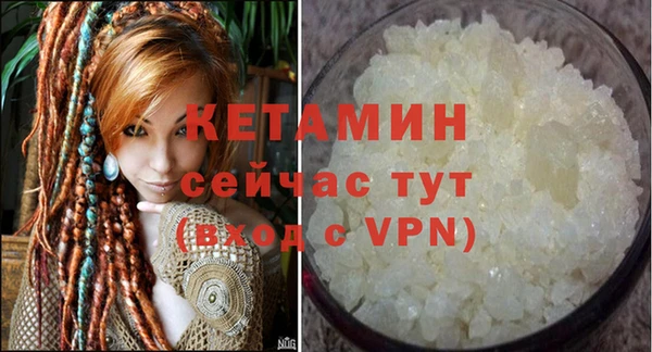 гидра Новозыбков