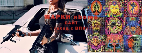 гидра Новозыбков