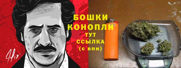 гидра Новозыбков