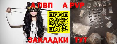 тгк Гай