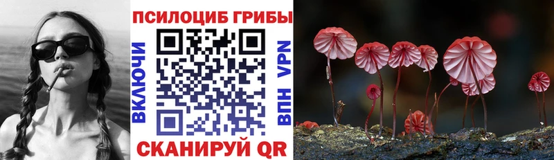 Псилоцибиновые грибы прущие грибы  Владикавказ 