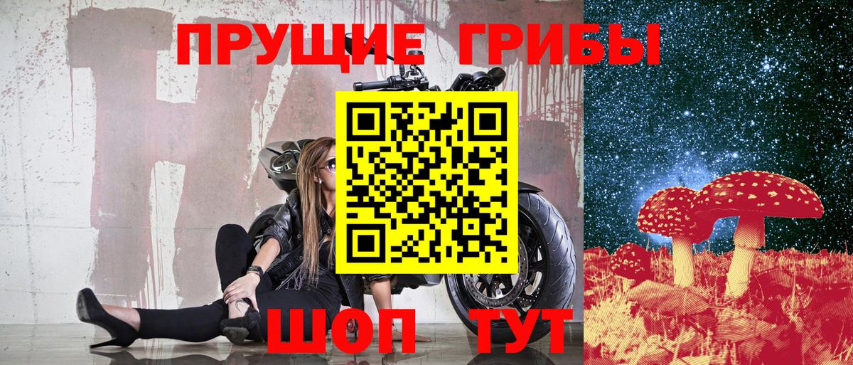 Владикавказ  купить наркоту  Вход с VPN  Псилоцибиновые грибы GOLDEN TEACHER 