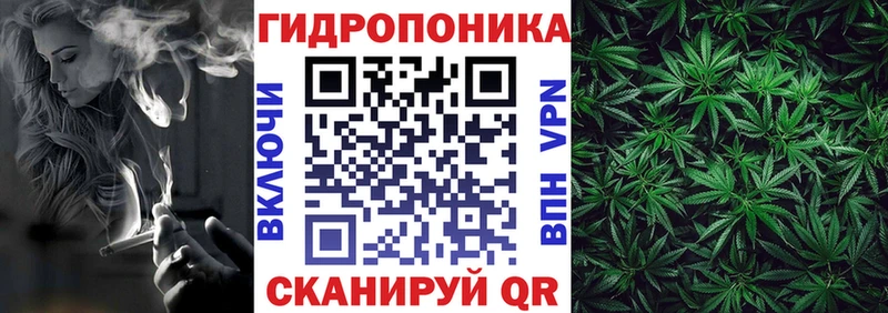 МАРИХУАНА семена  закладки  Владикавказ 
